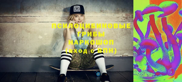 СК Пестово